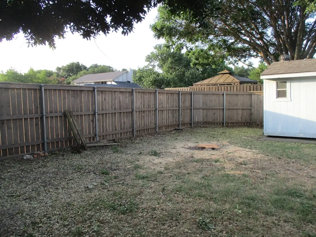Cleared yard after professional tree removal in Coleman Falls